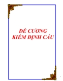 Đề cương kiểm định cầu