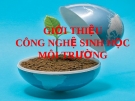 NGUYÊN NHÂN GÂY Ô NHIỄM MÔI TRƯỜNG