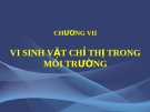 SINH VẬT CHỈ THỊ TRONG MÔI TRƯỜNG