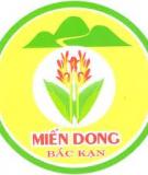 Chiến lược xây dựng nhãn hiệu cho DN trẻ