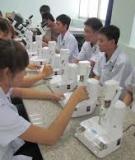 Phát huy sức mạnh tổng hợp khi làm việc nhóm