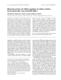 Báo cáo khoa học: Ribosomal protein L22 inhibits regulation of cellular activities by the Epstein-Barr virus small RNA EBER-1