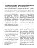 Báo cáo khoa học: Biophysical characterization of the interaction of Limulus polyphemus endotoxin neutralizing protein with lipopolysaccharide