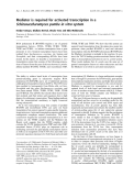 Báo cáo khoa học:  Mediator is required for activated transcription in a Schizosaccharomyces pombe in vitro system