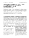 Báo cáo khóa học: Fidelity of targeting to chloroplasts is not affected by removal of the phosphorylation site from the transit peptide