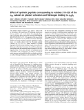 Báo cáo khóa học: Effect of synthetic peptides corresponding to residues 313–332 of the aIIb subunit on platelet activation and ﬁbrinogen binding to aIIbb3