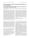 Báo cáo khoa học:  Effect of priming on activation and localization of phospholipase D-1 in human neutrophils