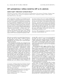 Báo cáo khóa học: GTP cyclohydrolase I utilizes metal-free GTP as its substrate