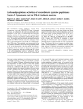 Báo cáo khóa học: Carboxydipeptidase activities of recombinant cysteine peptidases