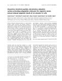 Báo cáo khoa học: Vasoactive intestinal peptide and pituitary adenylate cyclase-activating polypeptide attenuate the cigarette smoke extract-induced apoptotic death of rat alveolar L2 cells