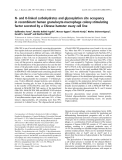 Báo cáo khóa học:  N- and O-linked carbohydrates and glycosylation site occupancy in recombinant human granulocyte-macrophage colony-stimulating factor secreted by a Chinese hamster ovary cell line