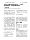 Báo cáo khóa học: Puriﬁcation and functional characterization of insecticidal sphingomyelinase C produced by Bacillus cereus