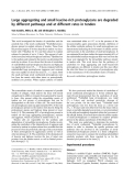 Báo cáo khóa học:  Large aggregating and small leucine-rich proteoglycans are degraded by different pathways and at different rates in tendon