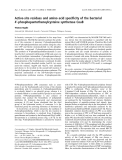 Báo cáo khóa học: Active-site residues and amino acid speciﬁcity of the bacterial 4¢-phosphopantothenoylcysteine synthetase CoaB