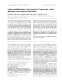 Báo cáo khóa học:  Isolation and biochemical characterization of two soluble iron(III) reductases from Paracoccus denitriﬁcans