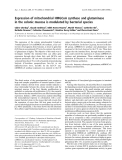 Báo cáo khóa học:  Expression of mitochondrial HMGCoA synthase and glutaminase in the colonic mucosa is modulated by bacterial species