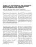 Báo cáo khóa học: Disruption of the interaction between the Rieske iron–sulfur protein and cytochrome b in the yeast bc1 complex owing to a human disease-associated mutation within cytochrome b