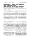 Báo cáo khóa học: Functional properties of the protein disulﬁde oxidoreductase from the archaeon Pyrococcus furiosus A member of a novel protein family related to protein disulﬁde-isomerase