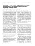 Báo cáo khóa học: Identiﬁcation of a gene encoding Lon protease from Brevibacillus thermoruber WR-249 and biochemical characterization of its thermostable recombinant enzyme