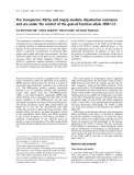 Báo cáo khóa học:  The transporters Pdr5p and Snq2p mediate diazaborine resistance and are under the control of the gain-of-function allele PDR1-12