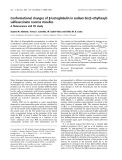 Báo cáo khóa học: Conformational changes of b-lactoglobulin in sodium bis(2-ethylhexyl) sulfosuccinate reverse micelles A ﬂuorescence and CD study