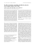 Báo cáo khóa học: The effect of mutations surrounding and within the active site on the catalytic activity of ricin A chain