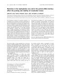 Báo cáo khóa học:  Mutations in the hydrophobic core and in the protein–RNA interface affect the packing and stability of icosahedral viruses