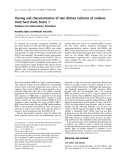 Báo cáo khóa học: Cloning and characterization of two distinct isoforms of rainbow trout heat shock factor 1