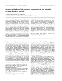 Báo cáo khoa học: Membrane binding of SRP pathway components in the halophilic archaea Haloferax volcanii
