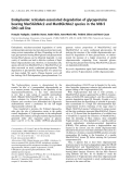 Báo cáo khóa học:  Endoplasmic reticulum-associated degradation of glycoproteins bearing Man5GlcNAc2 and Man9GlcNAc2 species in the MI8-5 CHO cell line