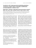 Báo cáo khoa học: Transfection with 4-hydroxynonenal-metabolizing glutathione S-transferase isozymes leads to phenotypic transformation and immortalization of adherent cells