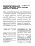 Báo cáo khoa học: Molecular and biochemical characterization ofD-phosphoglycerate dehydrogenase fromEntamoeba histolytica A unique enteric protozoan parasite that possesses both phosphorylated and nonphosphorylated serine metabolic pathways
