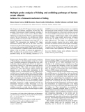 Báo cáo khoa học: Multiple-probe analysis of folding and unfolding pathways of human serum albumin