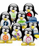 Câu hỏi Ôn tập về Linux