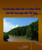 Thuyết trình: Các giải pháp nhằm bảo vệ và phục hồi hệ sinh thái rừng ngập mặn Việt Nam