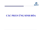 CÁC PHẢN ỨNG SINH HÓA.1. KIỂM TRA KHẢ NĂNG LÊN MEN CARBOHYDRATE 1.1. Nguyên tắc: Xác định khả năng lên men của vi sinh vật đối với nguồn carbohydrate cụ thể (Glucose, Lactose, Xylose…) kết hợp với môi trường kiểm tra khả năng sinh acid hoặc sinh acid và