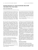 Báo cáo khoa học:  Functional dissection of a small anaerobically induced bZIP transcription factor from tomato