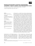 Báo cáo khoa học: Cloning and expression of the ﬁrst nonmammalian interleukin-11 gene in rainbow trout Oncorhynchus mykiss