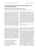 Báo cáo khoa học:  Transcriptional responses to glucose at different glycolytic rates in Saccharomyces cerevisiae