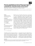 Báo cáo khoa học: Planarian peptidylglycine-hydroxylating monooxygenase, a neuropeptide processing enzyme, colocalizes with cytochrome b561 along the central nervous system