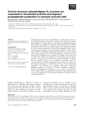 Báo cáo khoa học: Various secretory phospholipase A2 enzymes are expressed in rheumatoid arthritis and augment prostaglandin production in cultured synovial cells