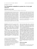 Báo cáo khoa học:  The Thermoplasma acidophilum Lon protease has a Ser-Lys dyad active site