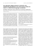 Báo cáo khoa học:  Yeast glycogenin (Glg2p) produced in Escherichia coli is simultaneously glucosylated at two vicinal tyrosine residues but results in a reduced bacterial glycogen accumulation