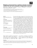 Báo cáo khoa học: Mapping contacts between regulatory domains of skeletal muscle TnC and TnI by analyses of single-chain chimeras