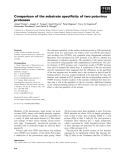 Báo cáo khoa học: Comparison of the substrate speciﬁcity of two potyvirus proteases