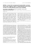 Báo cáo khoa học: HIP/PAP, a C-type lectin overexpressed in hepatocellular carcinoma, binds the RIIa regulatory subunit of cAMP-dependent protein kinase and alters the cAMP-dependent protein kinase signalling