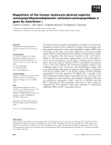 Báo cáo khoa học: Regulation of the human leukocyte-derived arginine aminopeptidase/endoplasmic reticulum-aminopeptidase 2 gene by interferon-c