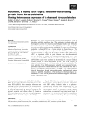 Báo cáo khoa học: Pulchellin, a highly toxic type 2 ribosome-inactivating protein from Abrus pulchellus Cloning, heterologous expression of A-chain and structural studies