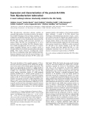 Báo cáo khoa học: Expression and characterization of the protein Rv1399c from Mycobacterium tuberculosis A novel carboxyl esterase structurally related to the HSL family