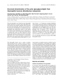 Báo cáo khoa học: Structural determination of the polar glycoglycerolipids from thermophilic bacteria Meiothermus taiwanensis